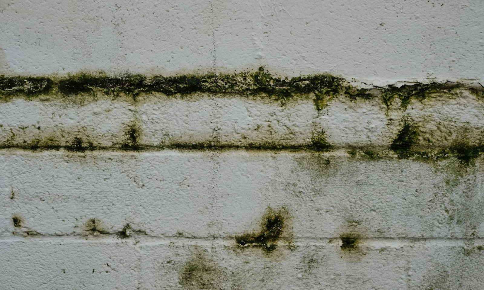 Nachträgliche Horizontalsperre per Injektionsverfahren in einer Ziegelmauer im Wiener Altbau